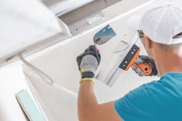 Best Mold Remediation for Rental Properties  in USA